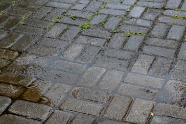 Yağmurlu bir günde su birikintisi olan sokak kaldırımları