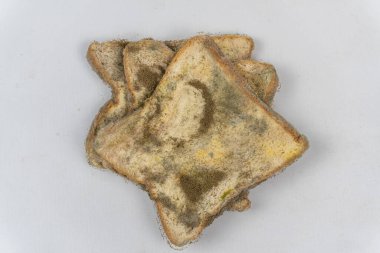 Küflü ekmek yığını ya da tarihi geçmiş ekmek beyaz arkaplanda izole edilmiş