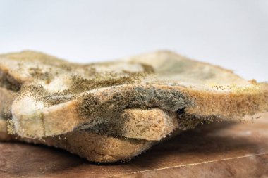 Küflü ekmek yığını ya da tarihi geçmiş ekmek beyaz arkaplanda izole edilmiş