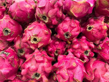 Pek çok canlı pembe ejder meyvesinin yakın plan çekimi benzersiz dokularını gözler önüne seriyor..