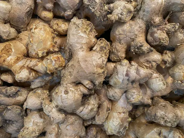 Yüksek açılı, yakın plan bir yığın taze, kahverengi desenli kökleri olan zencefil kökleri..