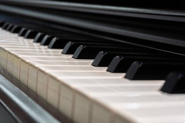 An angled perspective of many piano keys with depth of field highlighting the center.