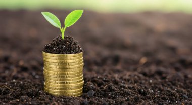 Yeni bitkiler için toprak olarak madeni paralar.