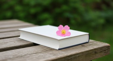 Boş kapaklı ve kırsal masada pembe şakayıklı kitap.