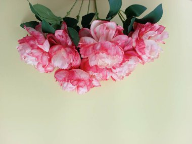 Yumuşak, bulanık sarı arkaplanlı yapay şakayık çiçeklerin çarpıcı yakın çekimi. Çiçek kenarı, çiçek çerçevesi, çiçek davetiyesi kopya alanı olan duvar kağıdı arkaplanı