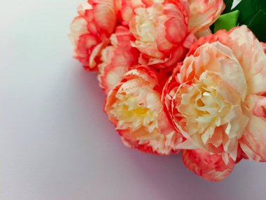 Açık leylak renkli arka planda izole edilmiş çarpıcı bir yapay şakayık çiçeği. Çiçek kenarı, çiçek çerçevesi, çiçek davetiyesi kopya alanı olan duvar kağıdı arkaplanı