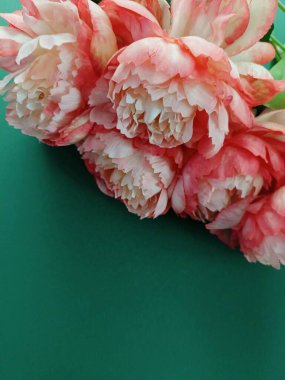 Yumuşak, bulanık yeşil arkaplanı olan yapay şakayık çiçeklerin çarpıcı yakın çekimi. Çiçek kenarı, çiçek çerçevesi, çiçek davetiyesi kopya alanı olan duvar kağıdı arkaplanı