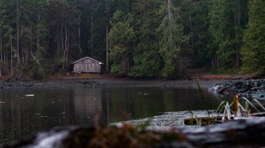 Göl kenarındaki kulübesi olan sakin ve doğal bir manzara.