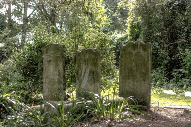 Üçlü mezar taşı olan huzurlu bir mezarlık.