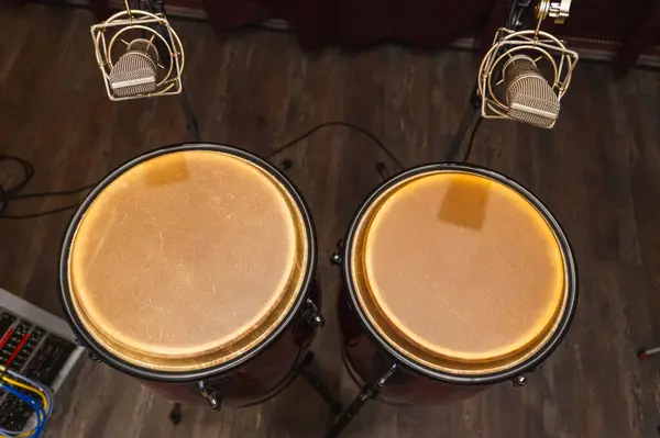 Stüdyoda büyük mikrofonları olan conga davulları. Stüdyoda perküsyon. Varilde daha yoğun mikrofonlar var..