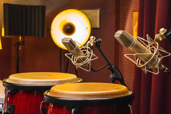 Stüdyoda büyük mikrofonları olan conga davulları. Stüdyoda perküsyon. Varilde daha yoğun mikrofonlar var..