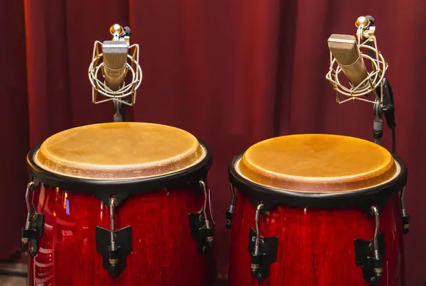 Stüdyoda büyük mikrofonları olan conga davulları. Stüdyoda perküsyon. Varilde daha yoğun mikrofonlar var..