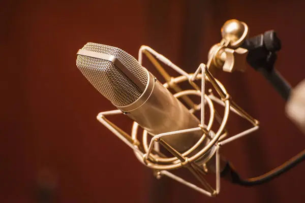 Büyük stüdyo mikrofonu. Stüdyodaki yoğunlaştırıcı mikrofonun yakın çekimi.