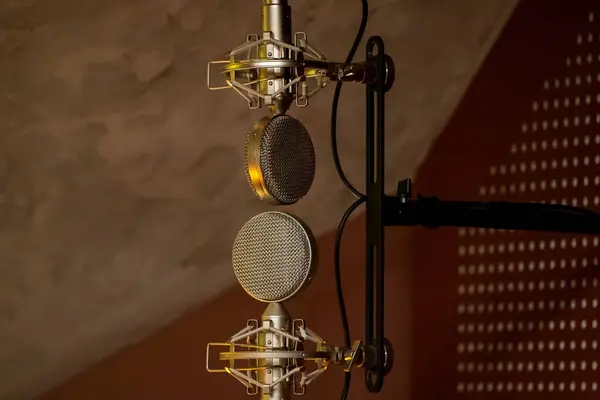 Stüdyo kurdele mikrofonları stüdyoda. Eski mikrofonlar.