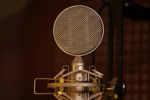 Stüdyoda mikrofon var. Eski mikrofon.