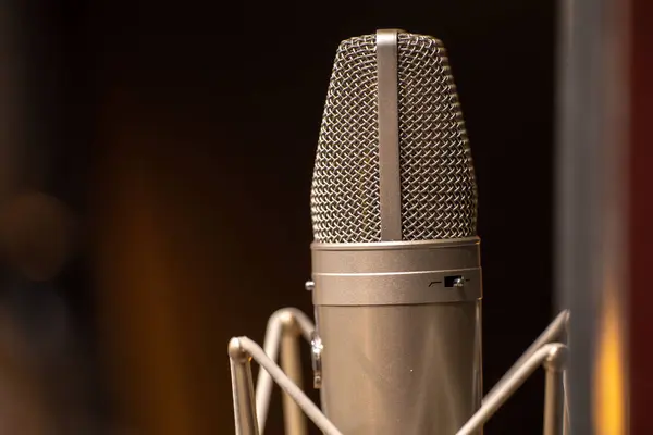 Büyük stüdyo mikrofonu. Yoğunlaştırıcı stüdyo mikrofonunun yakın çekimi