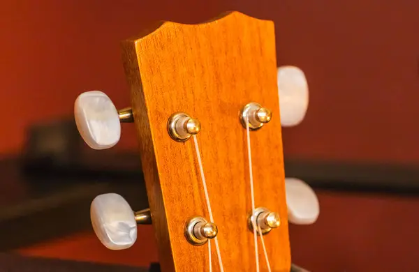 Ukulele ve ukulele başı ve akort mandallarının ayrıntıları.