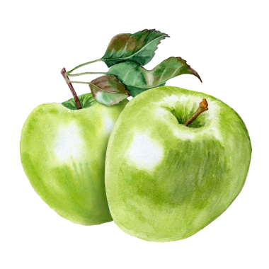 Bir çift yeşil elma. Elle boyanmış tırnak