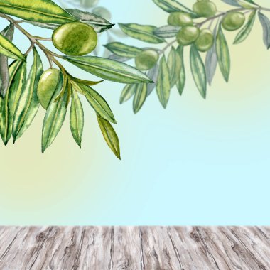 Dallarına yapraklarla suluboya ellerle zeytin çizmişler. Zeytinyağı Teması. Yağlı sürahi ve çamur, İtalyan, İspanyol yeşil zeytin hasadı