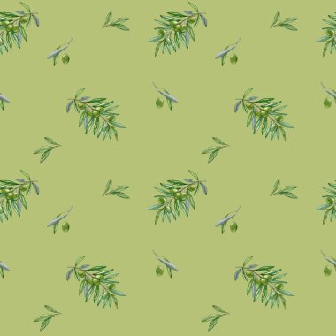 Dallarına yapraklarla suluboya ellerle zeytin çizmişler. Zeytinyağı Teması. Yağlı sürahi ve çamur, İtalyan, İspanyol yeşil zeytin hasadı