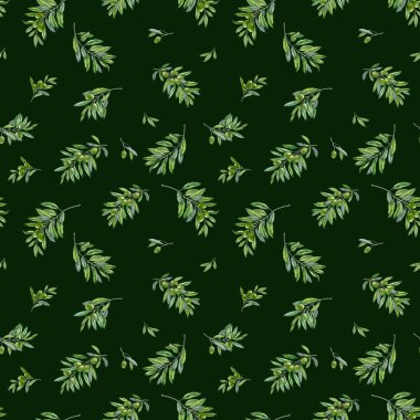 Dallarına yapraklarla suluboya ellerle zeytin çizmişler. Zeytinyağı Teması. Yağlı sürahi ve çamur, İtalyan, İspanyol yeşil zeytin hasadı