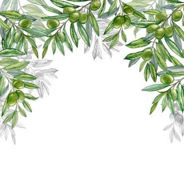 Dallarına yapraklarla suluboya ellerle zeytin çizmişler. Zeytinyağı Teması. Yağlı sürahi ve çamur, İtalyan, İspanyol yeşil zeytin hasadı