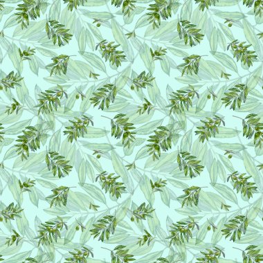 Dallarına yapraklarla suluboya ellerle zeytin çizmişler. Zeytinyağı Teması. Yağlı sürahi ve çamur, İtalyan, İspanyol yeşil zeytin hasadı