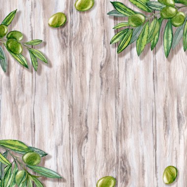 Dallarına yapraklarla suluboya ellerle zeytin çizmişler. Zeytinyağı Teması. Yağlı sürahi ve çamur, İtalyan, İspanyol yeşil zeytin hasadı