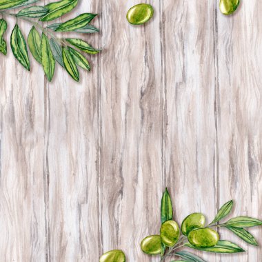 Dallarına yapraklarla suluboya ellerle zeytin çizmişler. Zeytinyağı Teması. Yağlı sürahi ve çamur, İtalyan, İspanyol yeşil zeytin hasadı