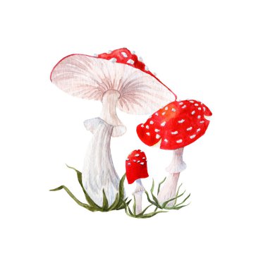 Tasarım kartları ve diğerleri için el yapımı akvaryum mantarları uçur. Beyaz noktalı kırmızı mantar.