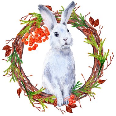 Beyaz bir tavşan dalların arasından dikizleyip duruyor. Tuya ve Ashber.