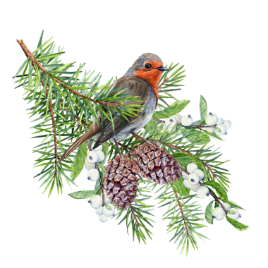 El yapımı suluboya firavun dalı. Kozalaklı fidan dalı. Spruce iğneleri. Yün pençeler. Noel ağacı dallı Noel süslemesi, Noel süslemeleri için klip sanatı. Kış yeşilliği. Kış tatili havası. Noel için Suluboya Kartı