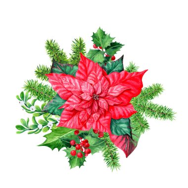  Noel için suluboya yeşil fidan dalı. Kar çileği dalları, Holly ve büyük poincsettia. Kartpostal, ambalaj, web siteleri, çıkartmalar vs. tasarımı için.