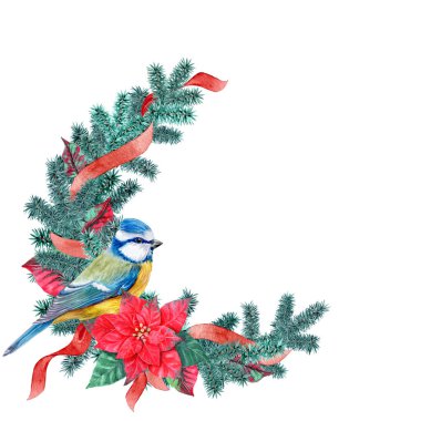 Titmouse kuşlarıyla Noel süslemeleri için Aquarelle illüstrasyonu, yeşil-kırmızı Noel teması mavi pençeli bir Poincettia ve kurdeleli
