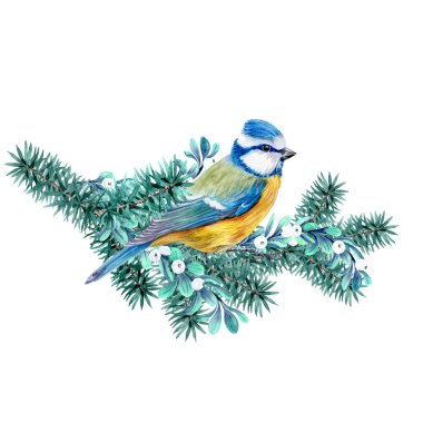 Üzerinde Titmouse kuşu olan Noel süslemeleri. Tatil kadroları ve mevsimlik giysiler için ateş ve kardudu.