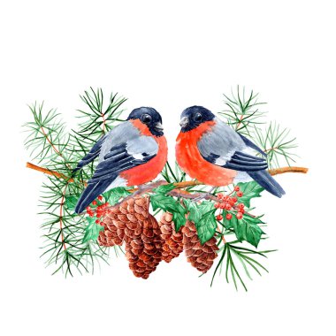 Suluboya klipsli sanat, ispinozlar ve Holly dalları, kozalaklı çam patileri, kırmızı göğüslü kuşlar, çocuk resimleri