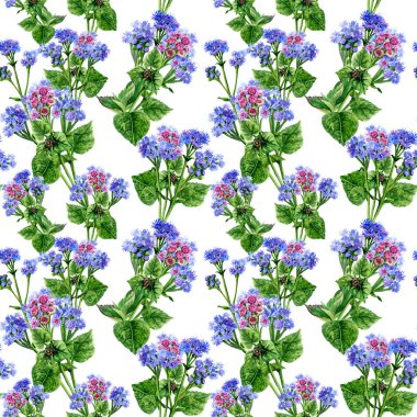 El çizimi suluboya çiçekler. Küçük mavi kızılötesi ışınlar. Yaz, sonbahar bahçesi çiçek açar. Çiçeklerdeki yaban arıları. Mor-mavi Ageratum inflorescences. Bahçe yatağı. Bahçe yatağında çiçek açan kusursuz bir desen. Tekstil için döngülü arkaplan