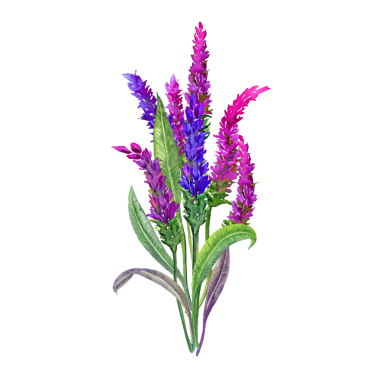 Elle boyanmış kır çiçekleri. Vahşi mor kır çiçekleri. Çiçeklerdeki yaban arıları. Kartpostal için fiyonklu kır çiçekleri, selamlar için çiçek çerçevesi.