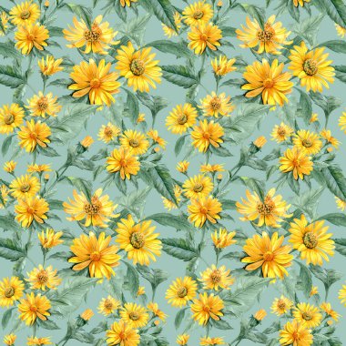 Sarı renkli bahçe çiçekleriyle kusursuz desen. El çizimi Heliopsis çiçekleri yapraklarla. Tekstil için bal taşıyan çiçekler. Döngülü arka plan. Yaz kaplaması. Çayır bitkileri 