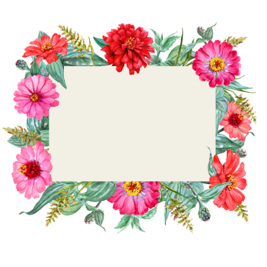 Kırmızı ve pembe renklerde bahçe çiçekleri olan dikdörtgen pankart. El çizimi Zinnia çiçekleri. Tebrik kartları, etiketler ve yaz dekorasyonu için bal taşıyan çiçekler. Çayır bitkileri