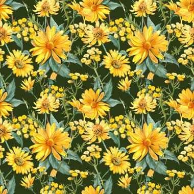 Sarı renkli bahçe çiçekleriyle kusursuz desen. El çizimi Heliopsis çiçekleri yapraklarla. Tekstil için bal taşıyan çiçekler. Döngülü arka plan. Yaz kaplaması. Çayır bitkileri 