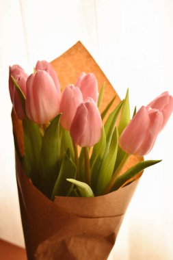 Baharda pembe hassas laleler