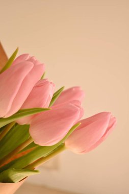 Baharda pembe hassas laleler