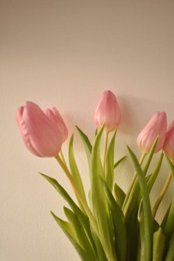 Bir buket pembe bahar lalesi