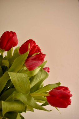 Kırmızı bahar Lale buketi