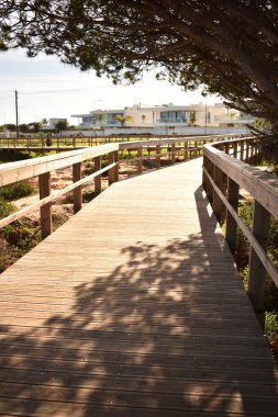Ağacın altından geçen korkuluklu ahşap patika.