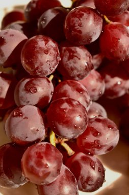 İspanyol kırmızı çekirdeksiz Kishmish üzümlerinden yakın çekim.