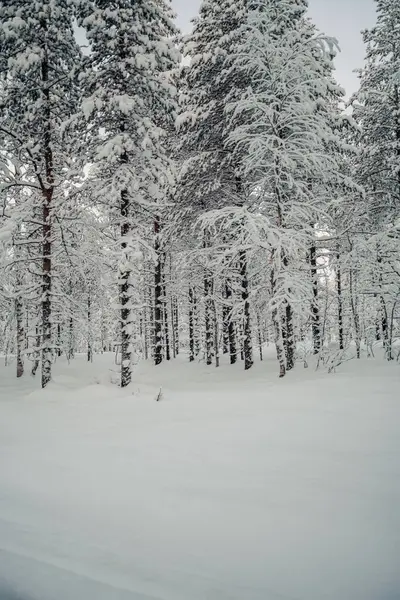 10 Aralık 2023 'te Rovaniemi' de çalışırken vuruldum..