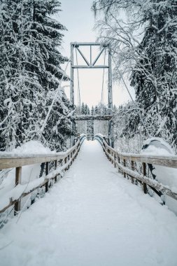 Vikakongas 'taki karlı köprüye giden yol, Rovaniemi, Laponya' daki kış ormanı.