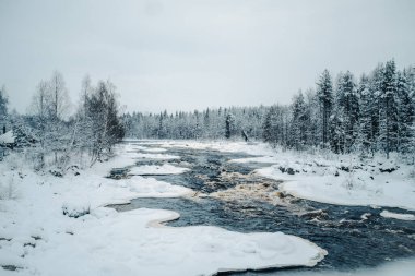 Vikakongas 'ta kutup nehri, Rovaniemi, Laponya' daki karlı ormanda